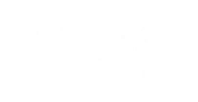 भागीदार जो Slottica के साथ काम करते हैं