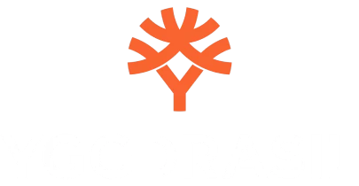 partners who work with Slottica